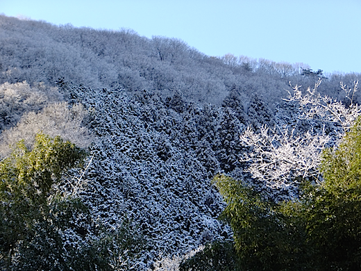 名張雪山1.png